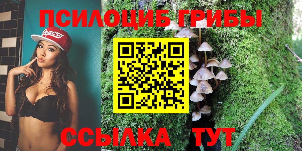 Псилоцибиновые грибы прущие грибы  Вход с VPN  Горно-Алтайск 
