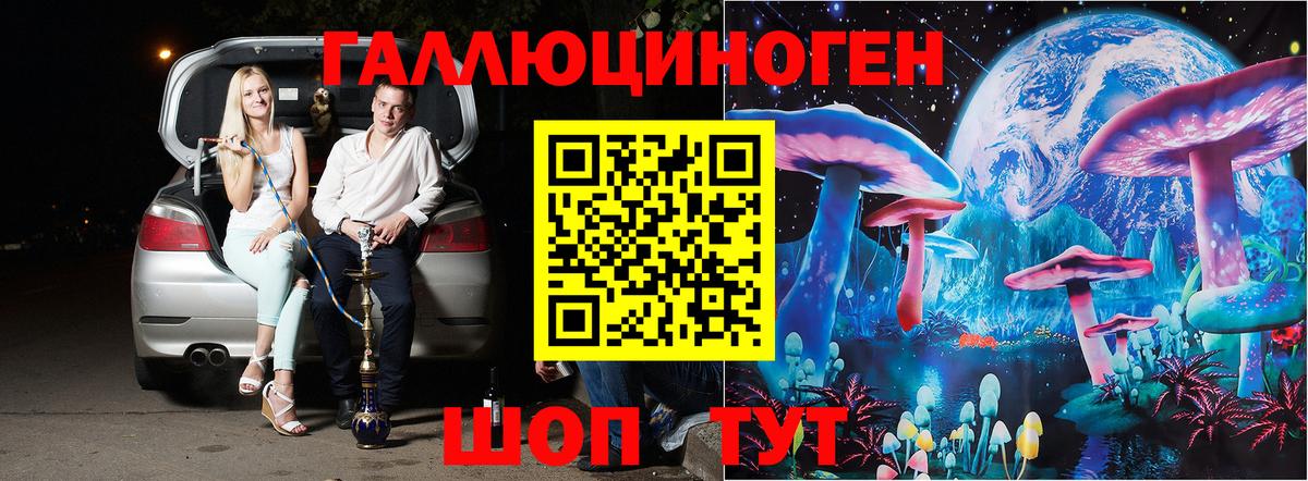 Псилоцибиновые грибы прущие грибы Горно-Алтайск